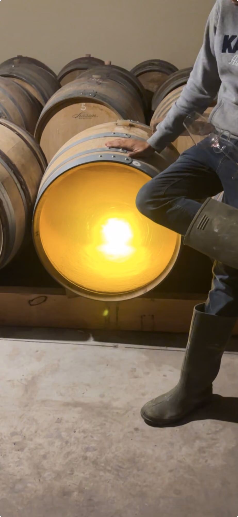 Dégustation sur fût dans le chai : une barrique ouverte éclairée de l'intérieur, verre à la main