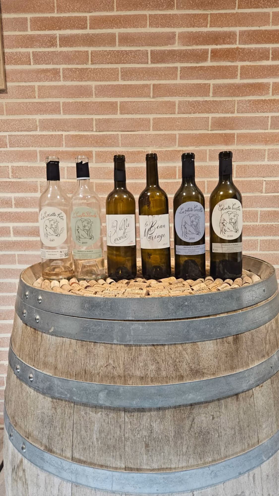 La gamme du domaine Chante Cocotte alignée sur un tonneau : La Cocotte Rosé, La Cocotte Blanche, La Villa Cocotte, Le Beau Mariage, La Petite Cocotte et Chante Cocotte
