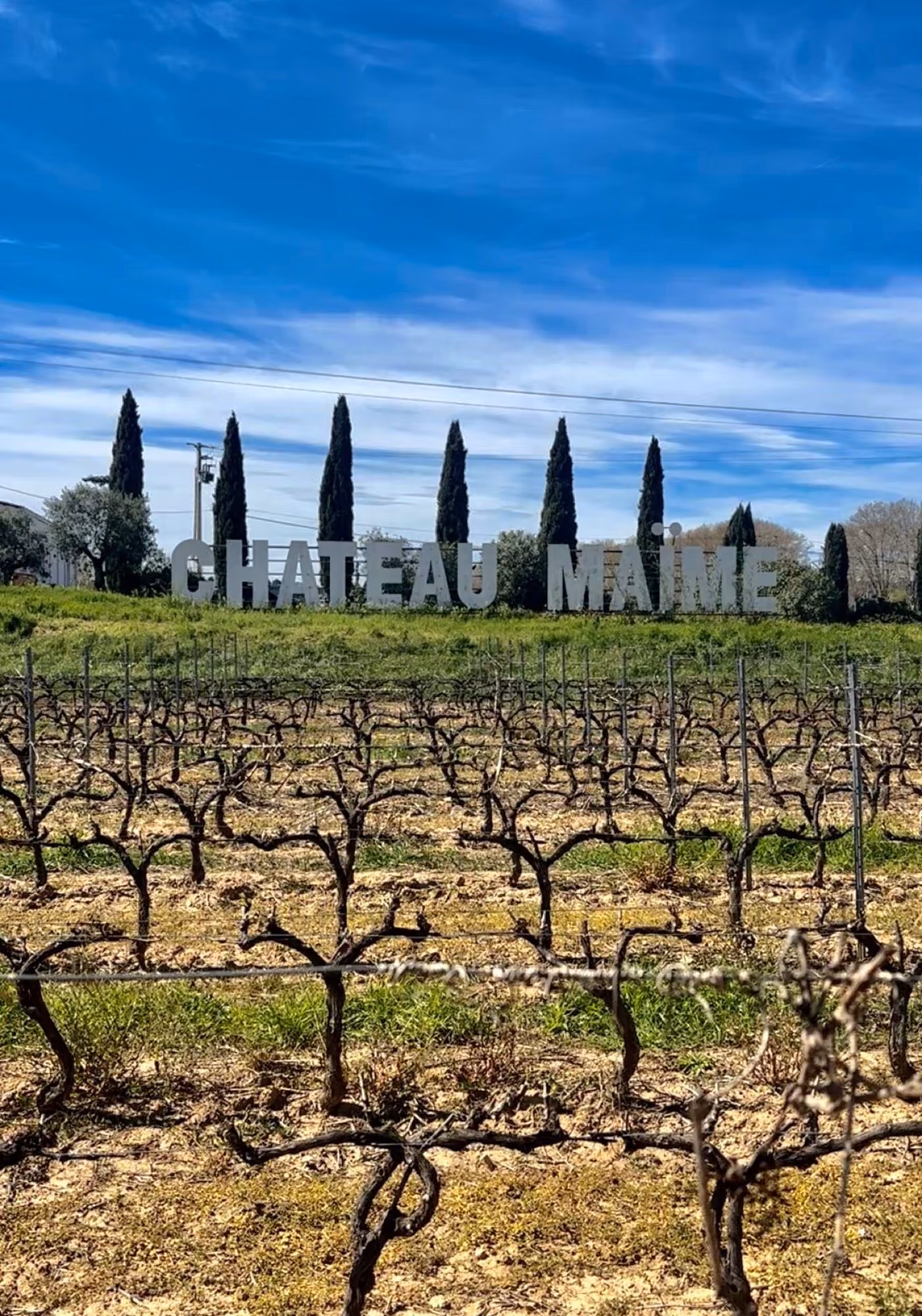 L'entrée du Château Maïme : lettres monumentales au milieu des vignes, cyprès et ciel bleu de Provence