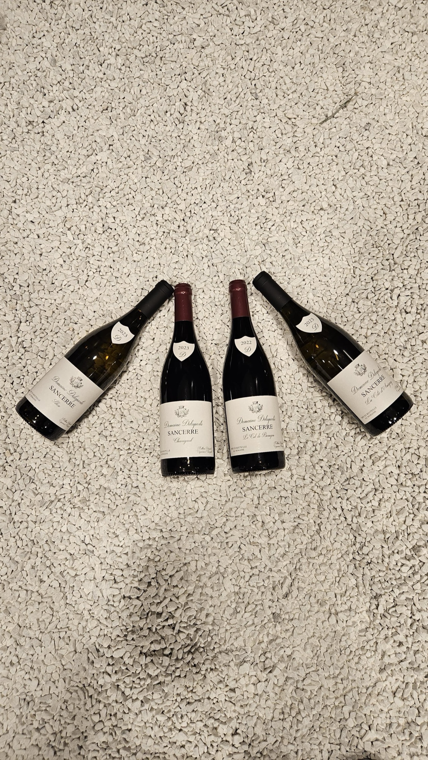 Cuatro Sancerre del Domaine Delaporte: Chavignol, Le Cul de Beaujeu, la Cuvée Silex y la Côte d'Amigny