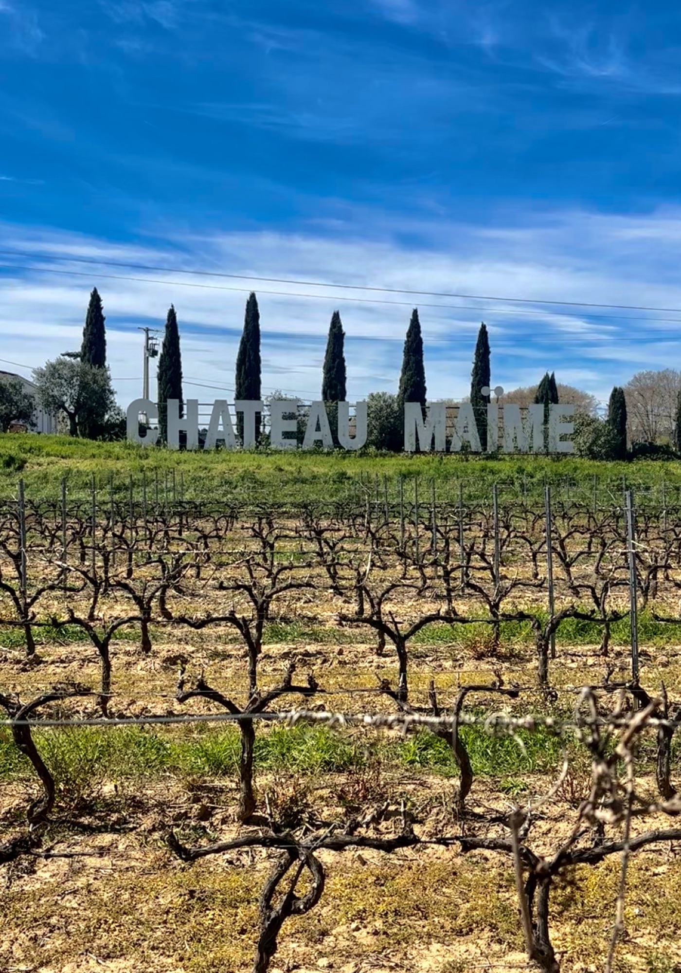 The entrance of Château Maïme: monumental letters amid the vines, cypresses and blue Provence sky